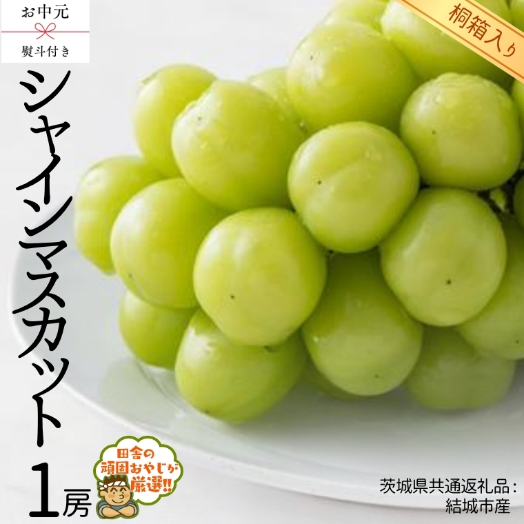 【 お中元 熨斗 付 】【 桐箱入り 】シャインマスカット1房 