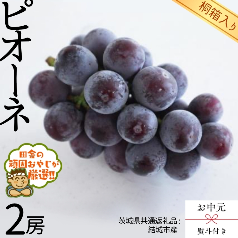 【 お中元 熨斗 付 】【 桐箱入り 】 ピオーネ2房  【2025年8