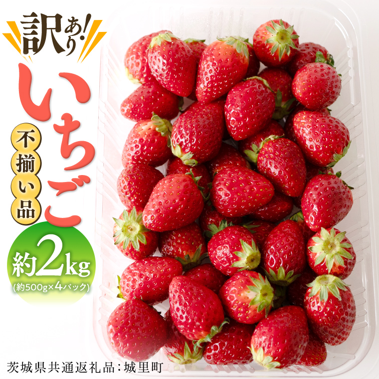 【訳あり】いちご 2kg（500g×4パック）【1月から発送開始】