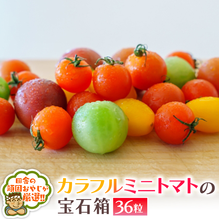 カラフルミニトマト の 宝石箱 36粒   【令和6年1月から発送