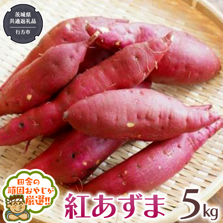 紅あずま 5kg 【2025年10月から発送開始】（茨城県共通返礼品