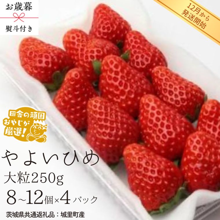 【 お歳暮 熨斗付 】やよいひめ〈いちご〉大粒 250g（8～12粒