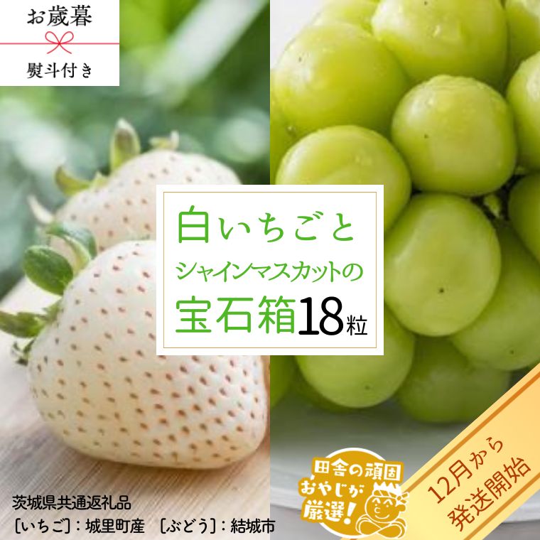 【 お歳暮 熨斗付 】 シャインマスカットと白いちごの 宝石
