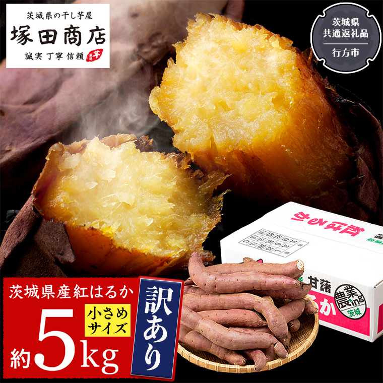 訳あり さつまいも 5kg 小さめ 無選別 （茨城県共通返礼品：