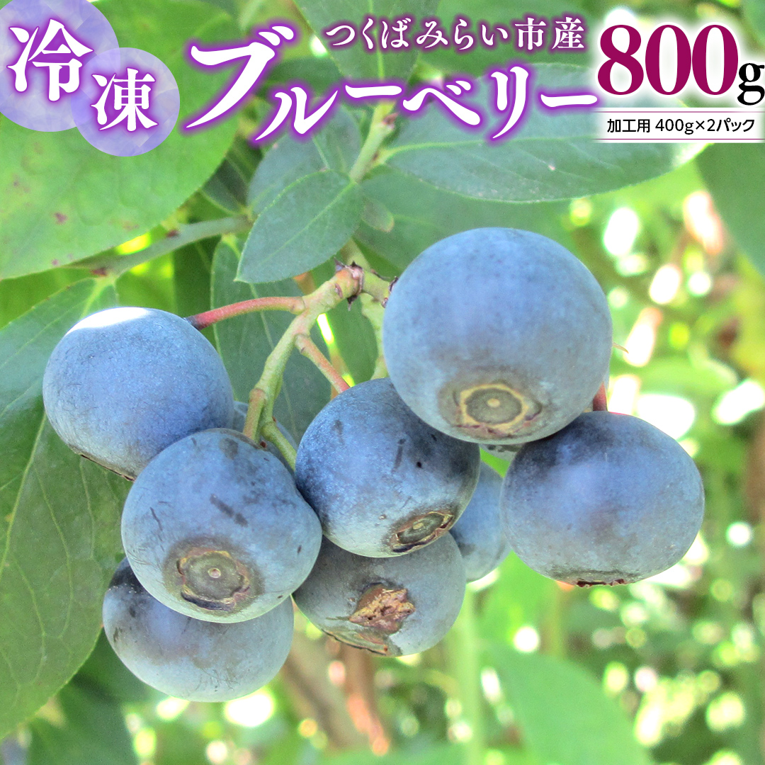 つくばみらい市 産 冷凍 ブルーベリー 800g ( 400g ×2パック ) 