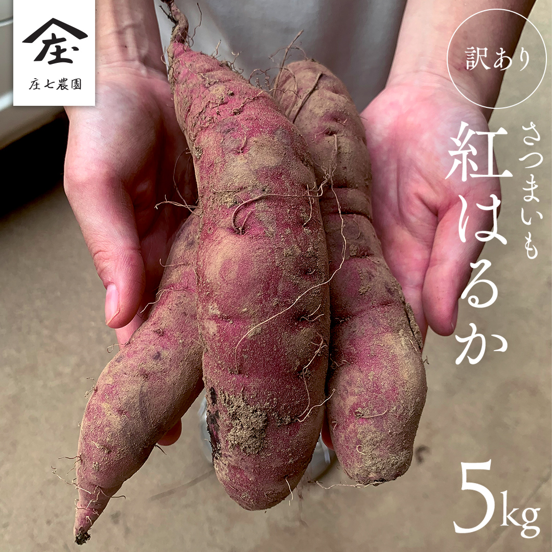 【 訳あり 】 さつまいも ！ 紅はるか 5kg サツマイモ 芋 い