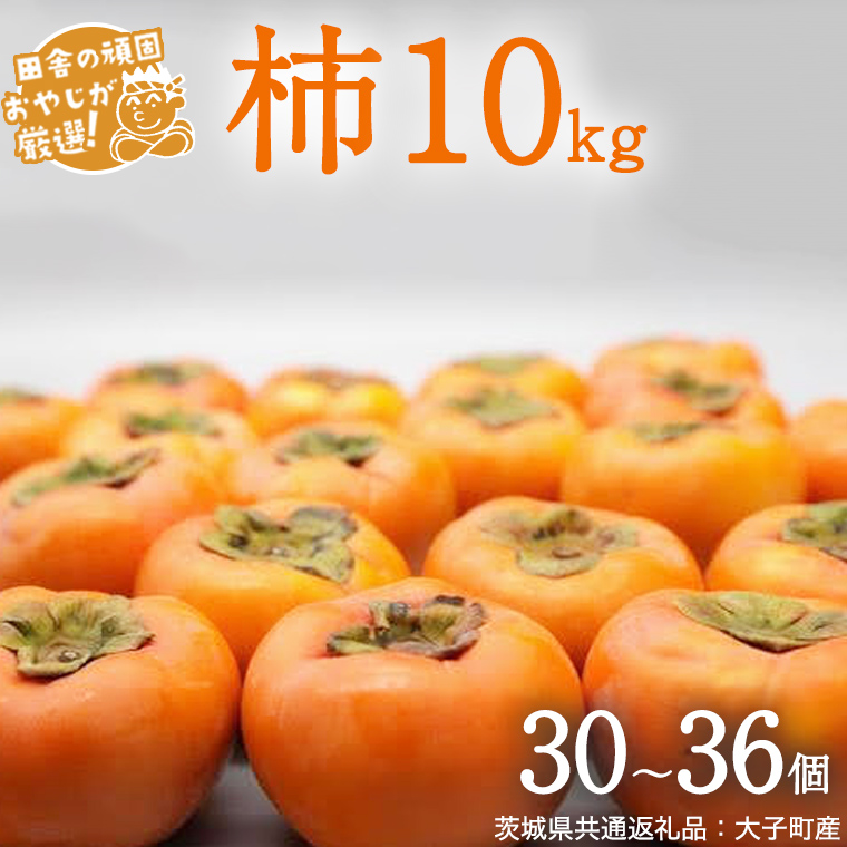柿 10kg（30〜36個）【2025年10月より発送開始】（茨城県共通
