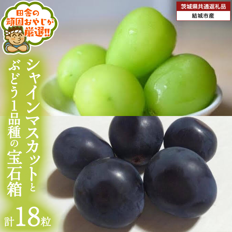 「粒々ぶどう18粒」 シャインマスカット と ぶどう 1品種の