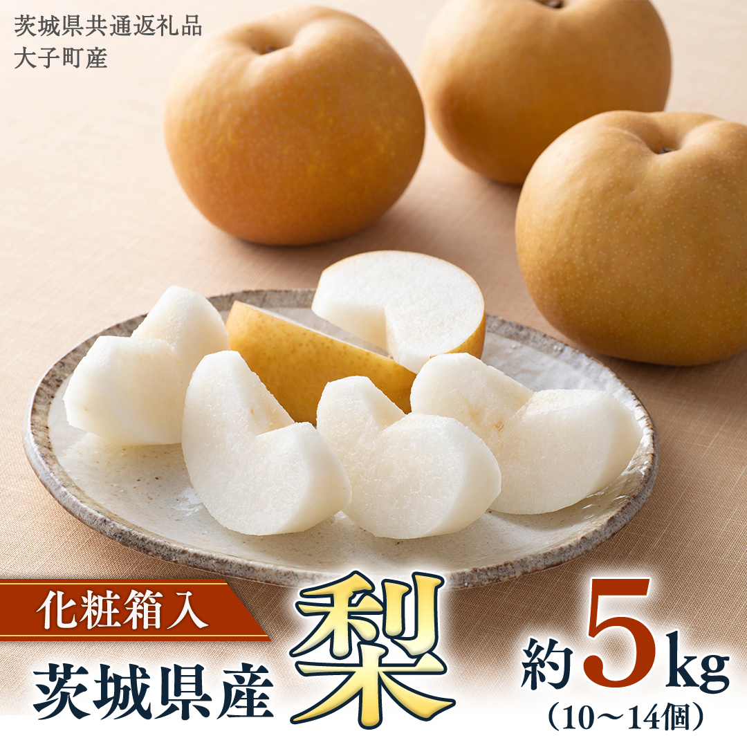 【化粧箱入り】梨 5kg（10〜14個）【2025年8月より発送開始】