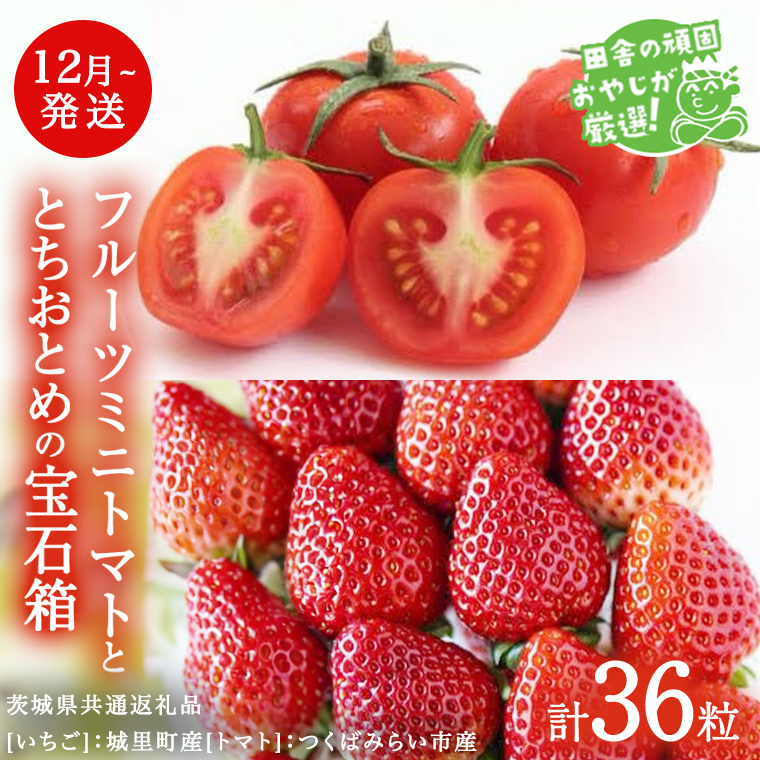 とちおとめ と フルーツミニトマト宝石箱 36粒【1月より発