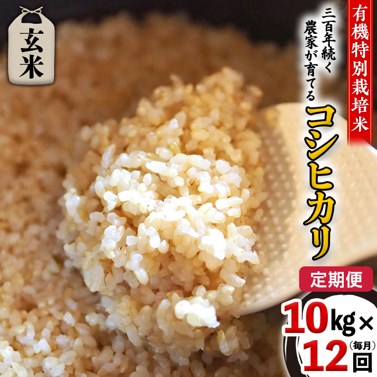 【 先行予約 】令和6年産 ＜ 定期便 ＞ 玄米 10kg×12回（毎月