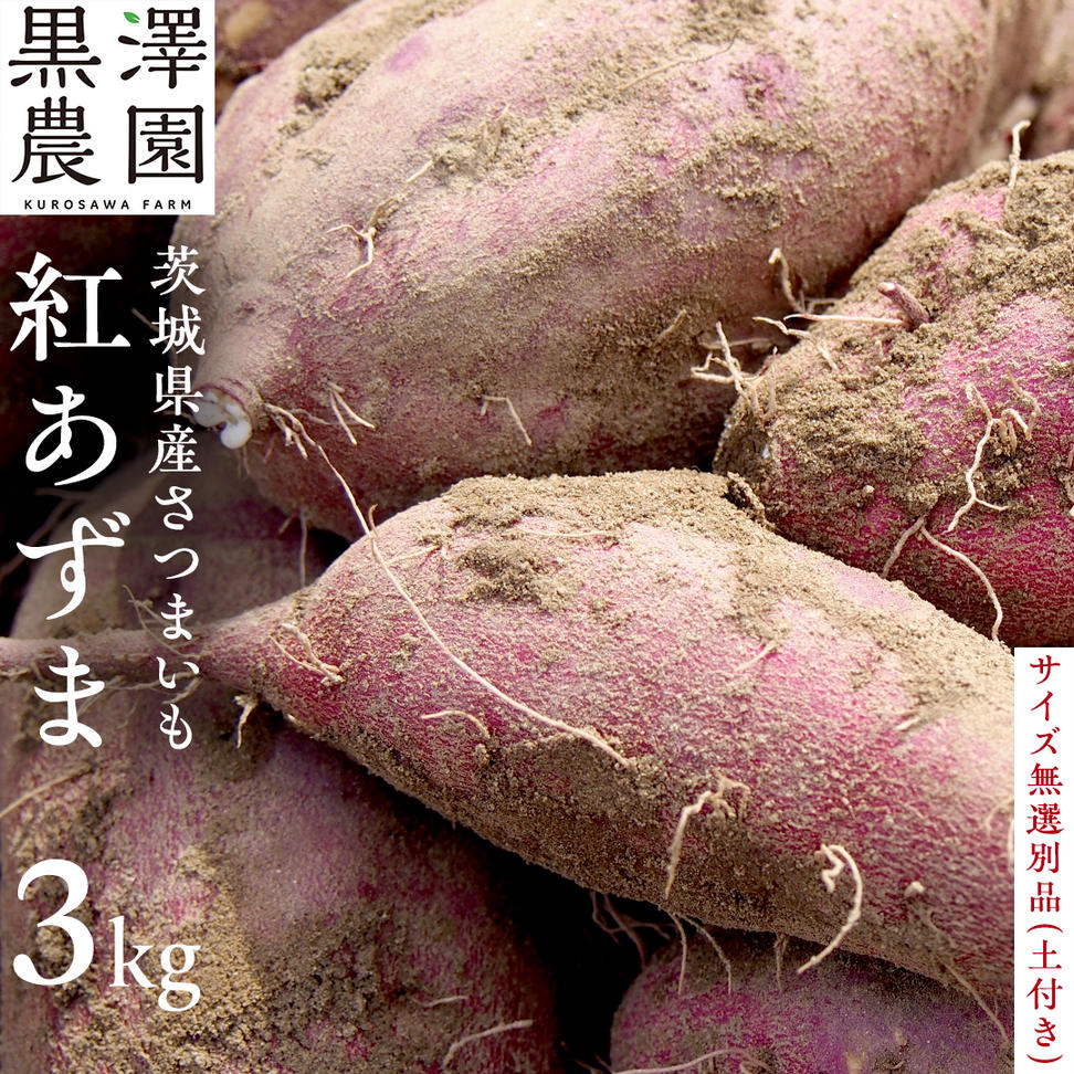 【茨城県産】さつまいも 紅あずま 3kg サイズ無選別品(土付