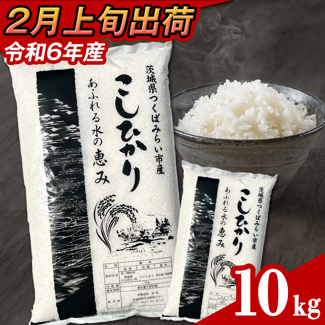 【 2月上旬発送 / 数量限定 】茨城県産 コシヒカリ 精米 10kg 