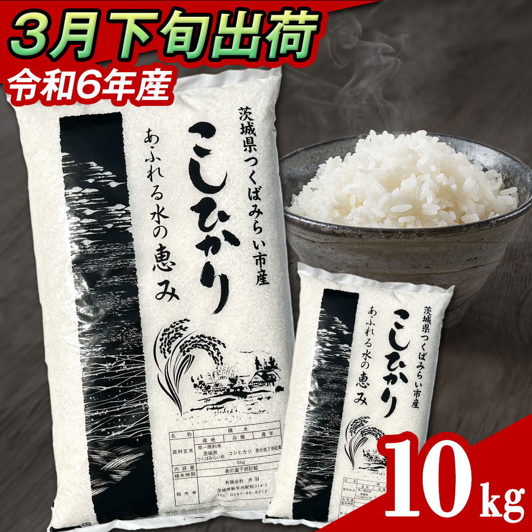 【 3月下旬発送 / 数量限定 】茨城県産 コシヒカリ 精米 10kg 