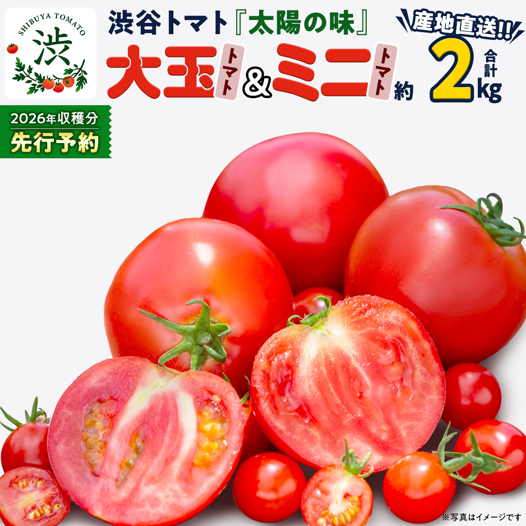 【 2026年 収穫分 先行予約 】 -太陽の味- 渋谷トマト 大玉ト