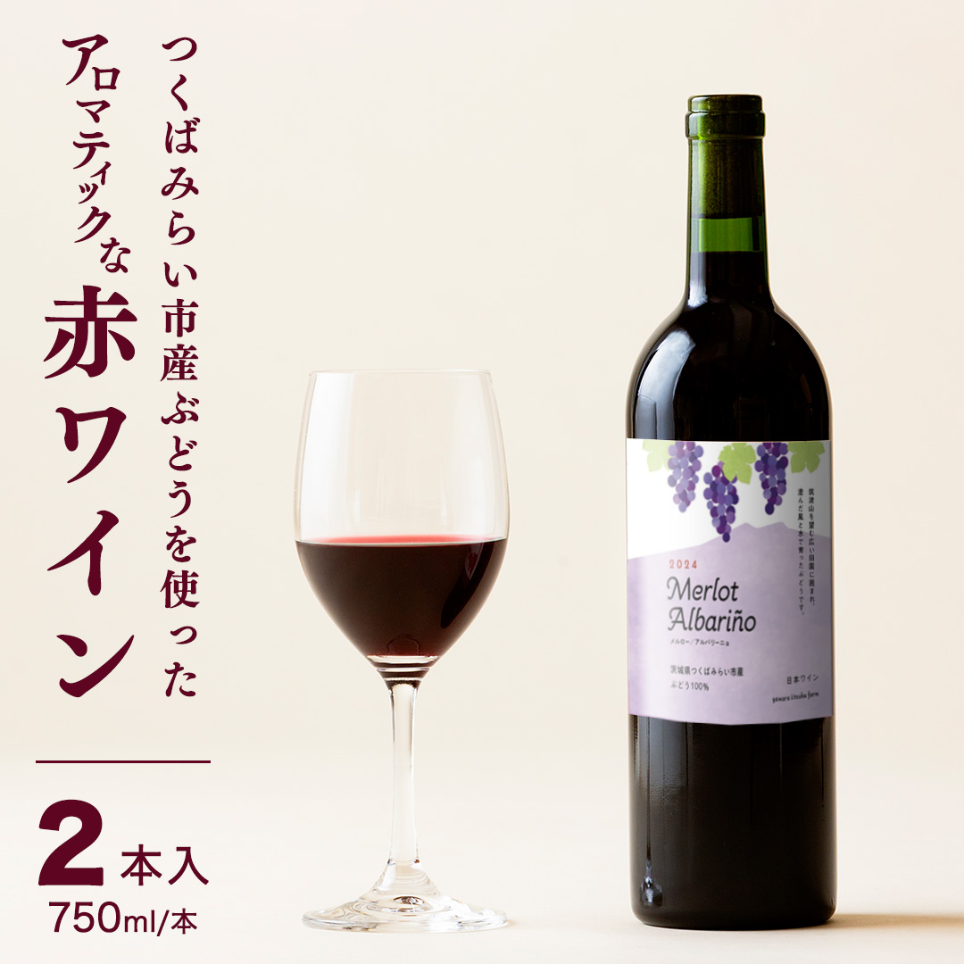 つくばみらい市産ぶどうを使った「 アロマティックな 赤ワ