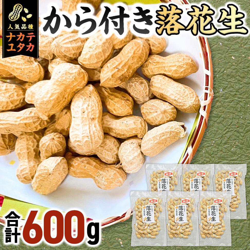 から付き落花生 600g （100g×6袋） 煎りざや落花生 おつまみ 