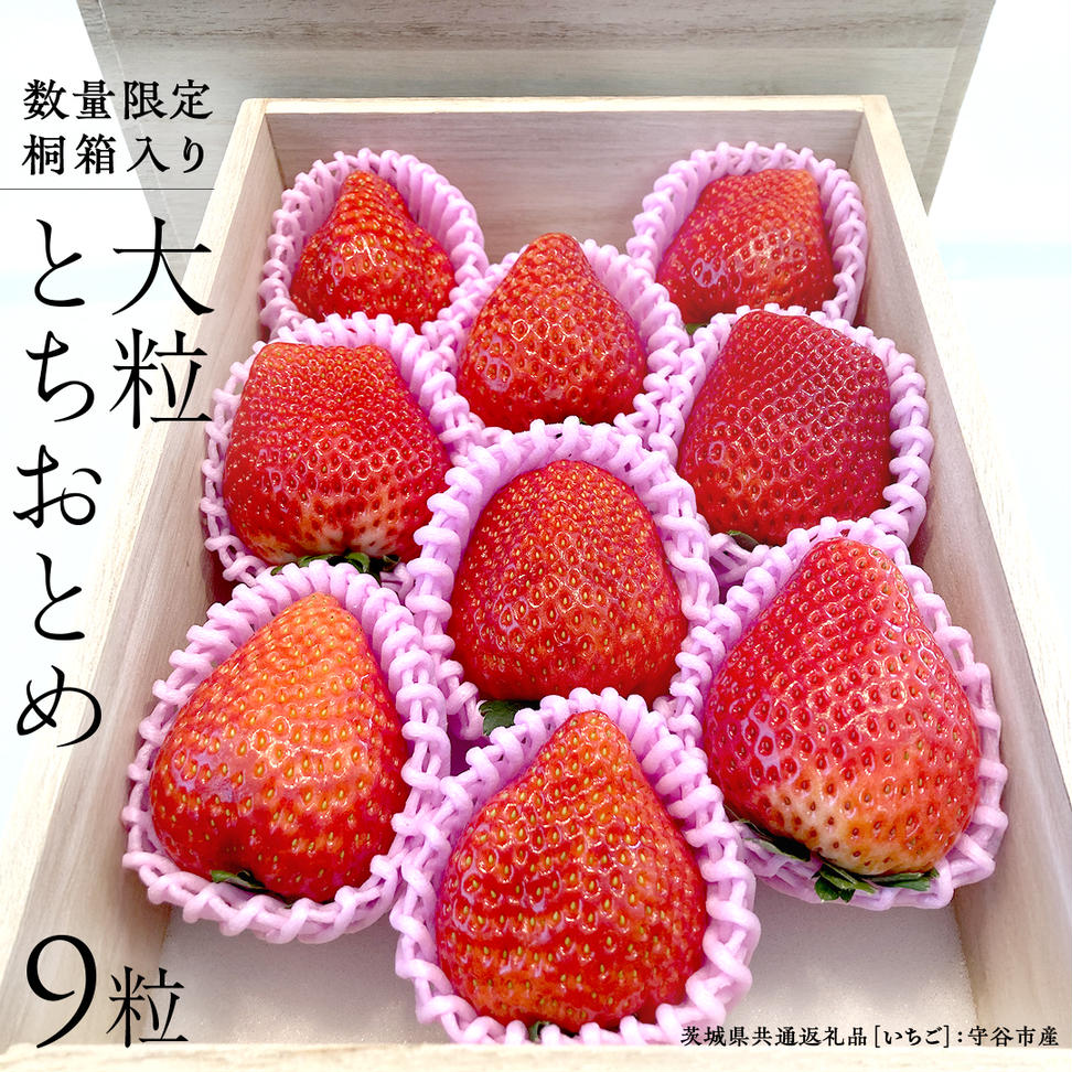【数量限定】桐箱入り 大粒いちご とちおとめ 9粒（茨城県