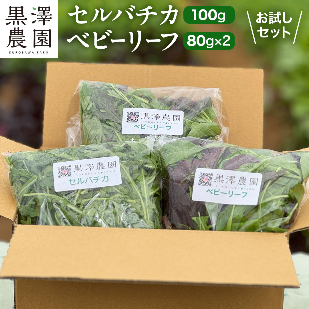 セルバチカ (ワイルドルッコラ) 100g と ベビーリーフ (80g × 2