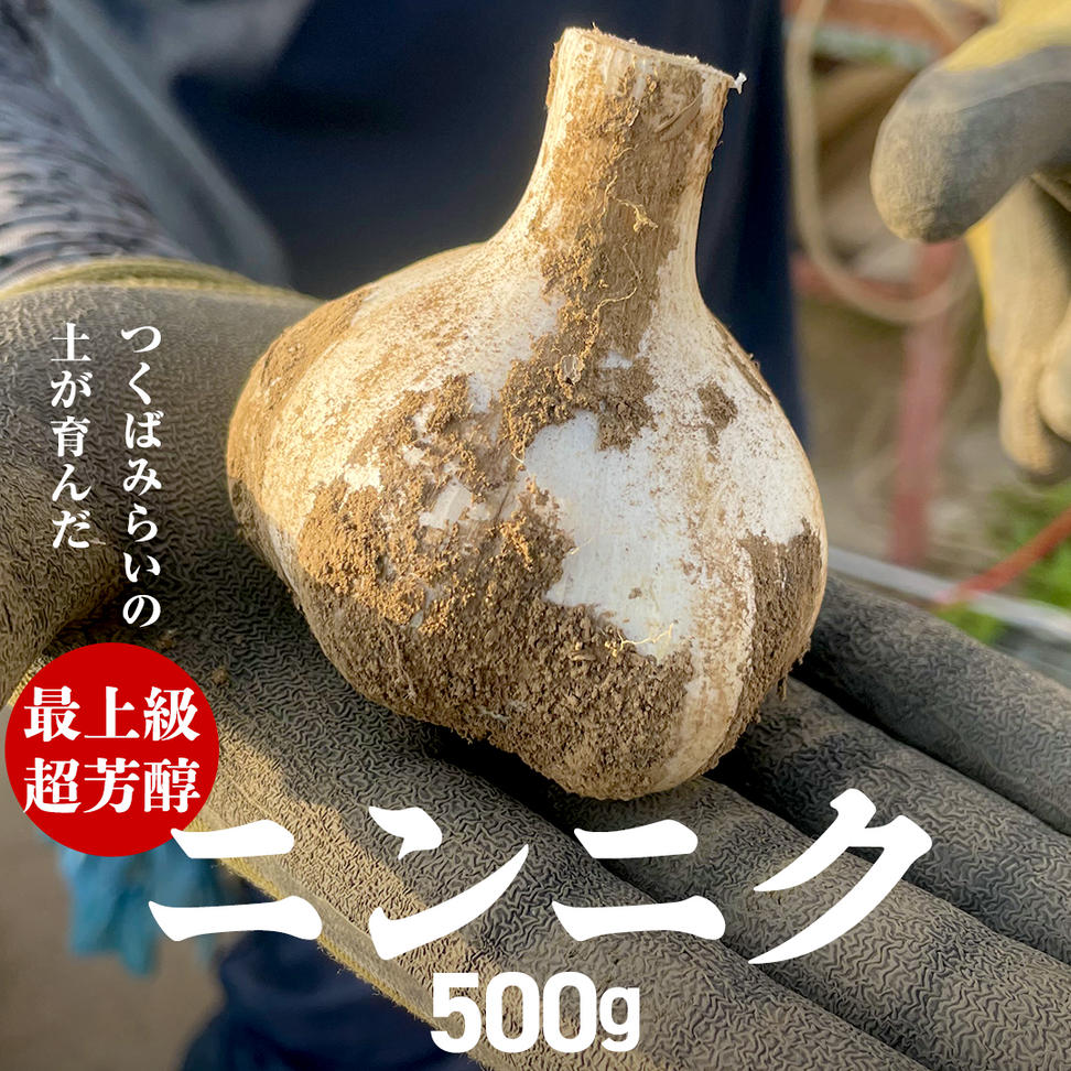 超芳醇 つくばみらいの土が育んだ 最上級ニンニク 500g つく