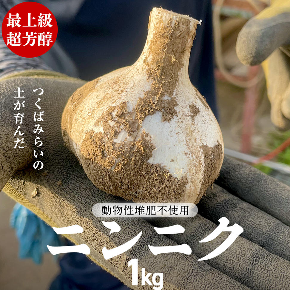 超芳醇 つくばみらいの土が育んだ 最上級ニンニク 1kg つく