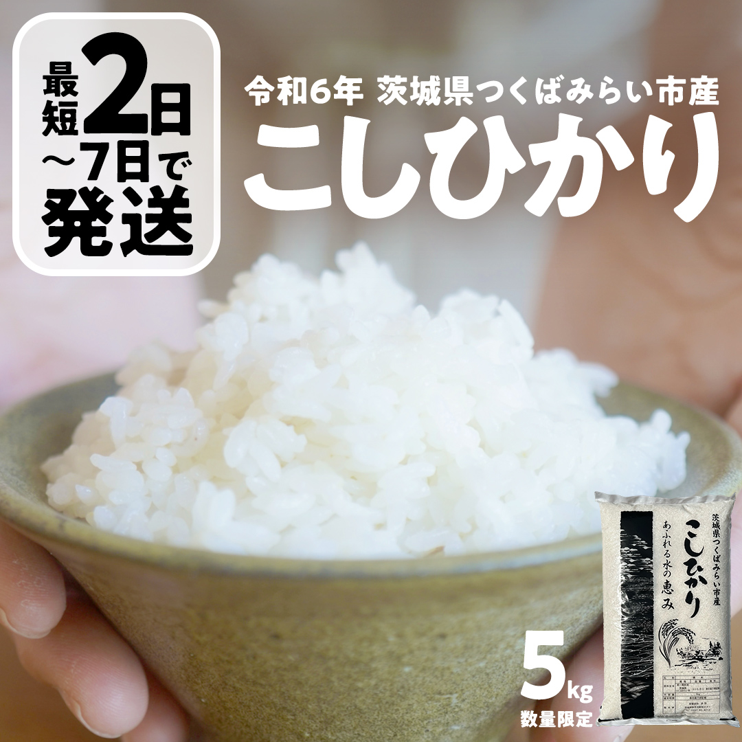 ＼ 最短 2日で発送 ／ コシヒカリ 5kg 令和6年産精米【 数量