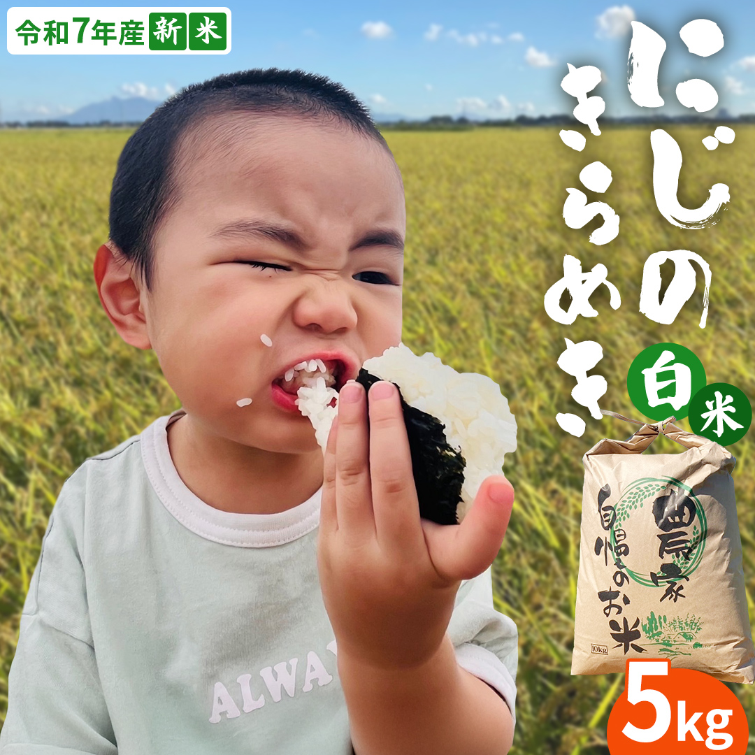 ＜ 新米 ＞ 令和7年産 茨城県産 白米 にじのきらめき 5kg 【20
