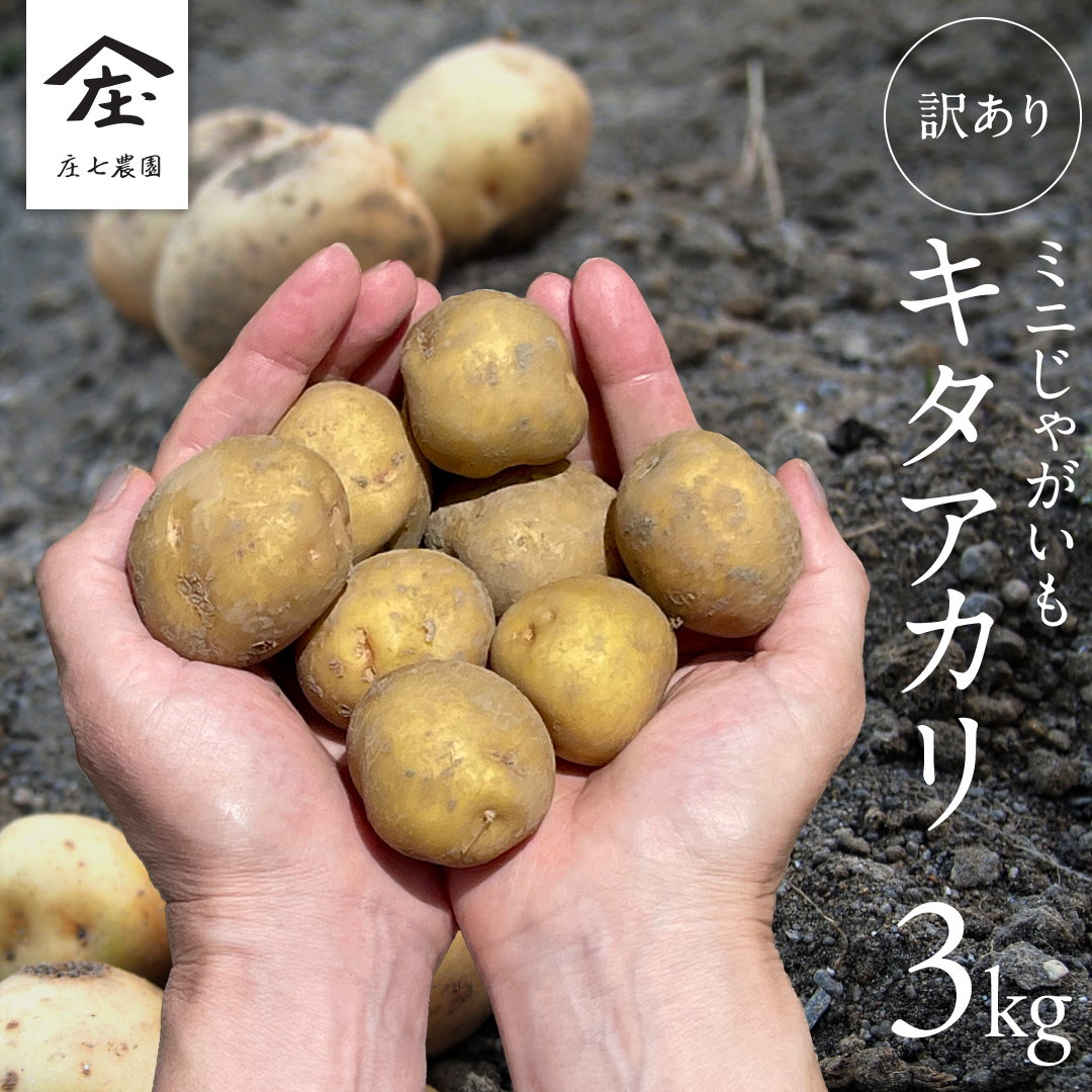 【訳あり】ミニ ジャガイモ ( キタアカリ ) 3kg 田んぼで作っ