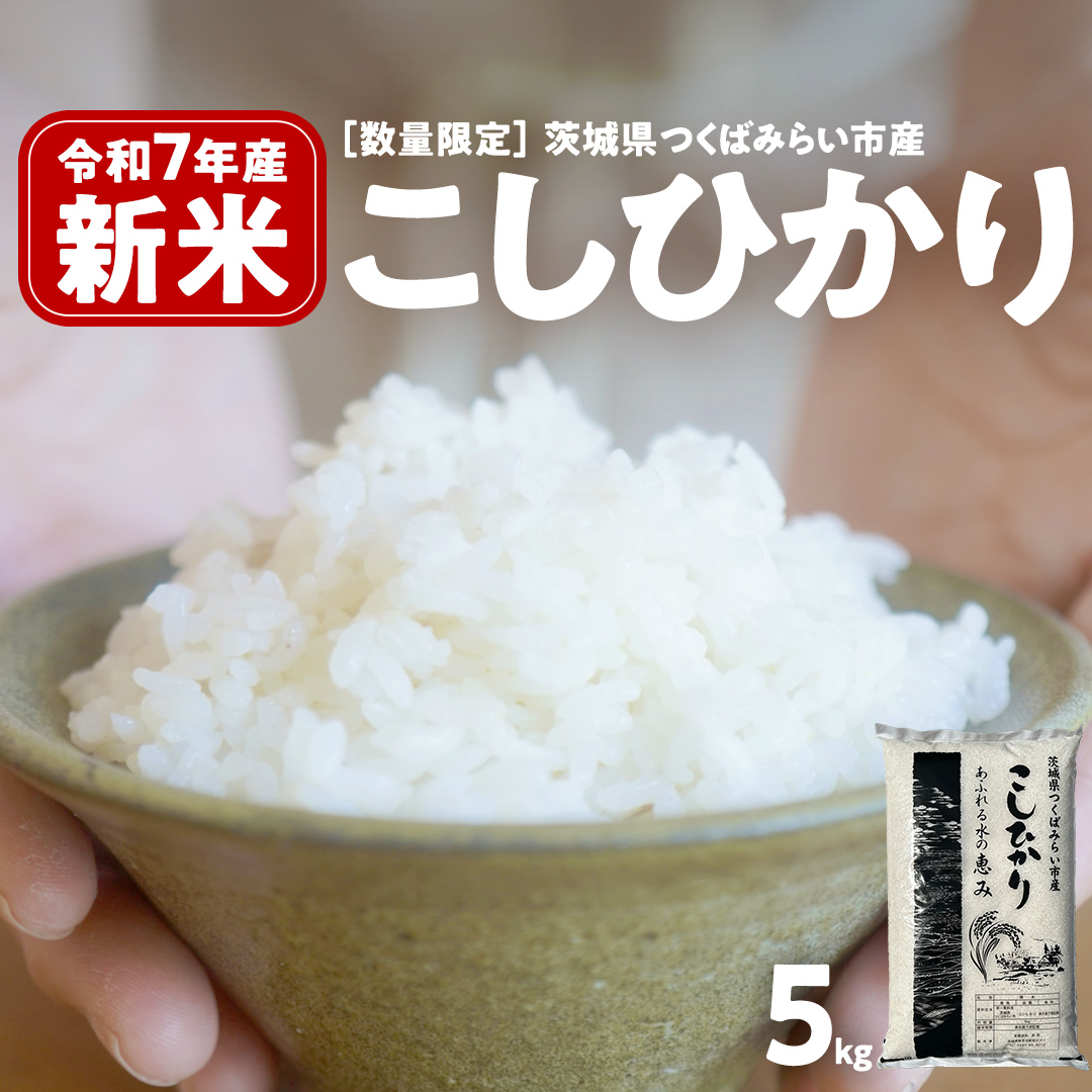 ＼ 新米先行予約 ／ コシヒカリ 5kg 令和7年産精米 【 数量限