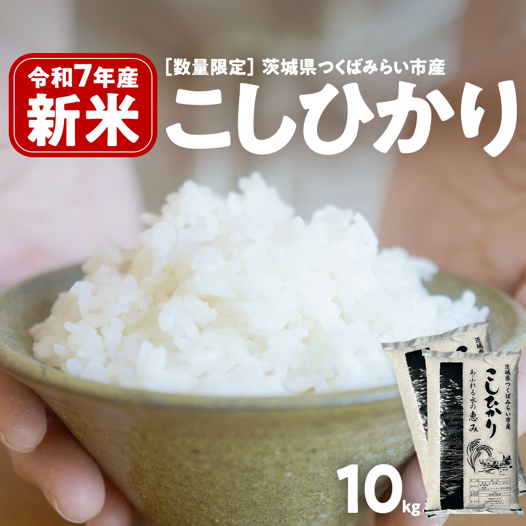 ＼ 新米先行予約 ／ コシヒカリ 10kg 令和7年産精米 【 数量