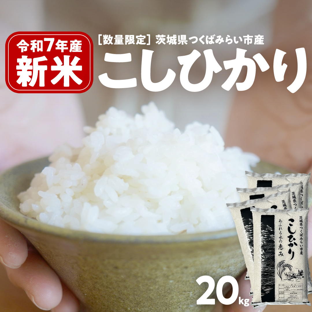 ＼ 新米先行予約 ／ コシヒカリ 20kg 令和7年産精米 【 数量