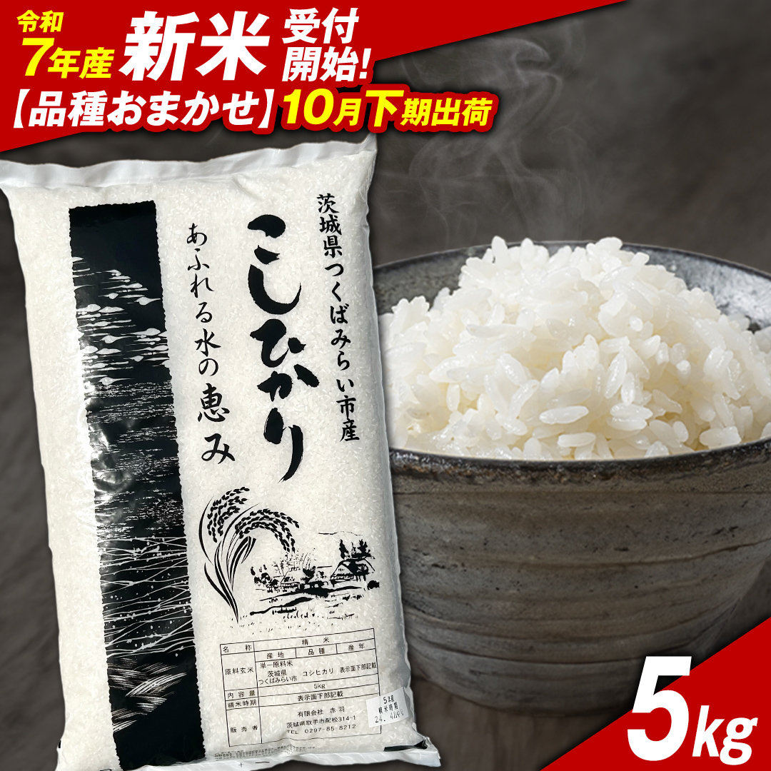 ＼ 新米先行予約 ／【10月下期出荷】品種おまかせ 5kg 茨城