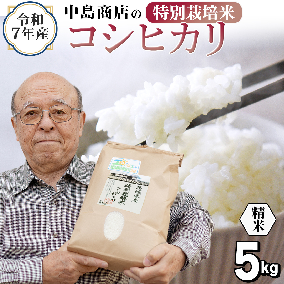 ＜ 新米 ＞ 令和7年産 茨城県産 精米 特別栽培米 コシヒカリ
