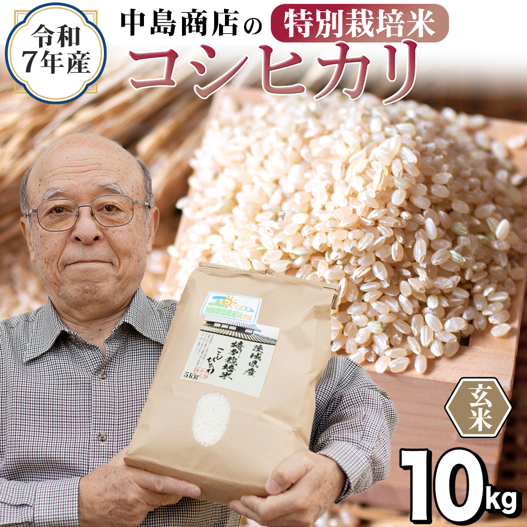 令和7年産 茨城県産 玄米 特別栽培米 コシヒカリ 10kg （5kg×2