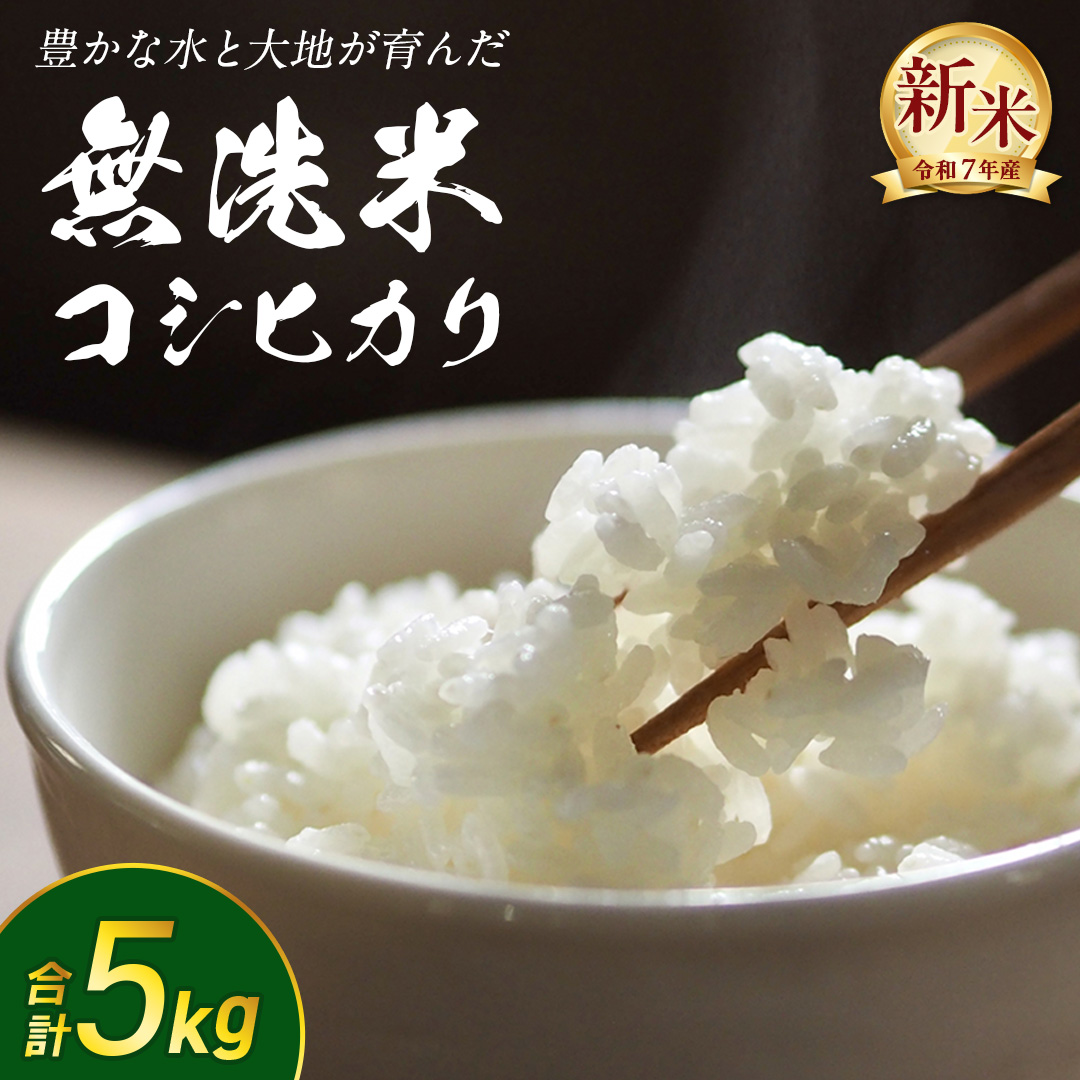 【 無洗米 】令和7年産 新米 コシヒカリ 5kg 茨城県つくばみ