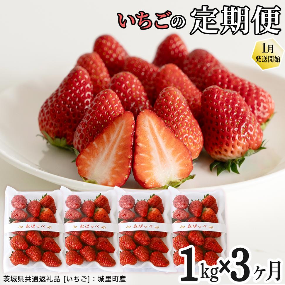 【定期便】いちご3ヶ月連続お届け便 （250g×4パック）×3回