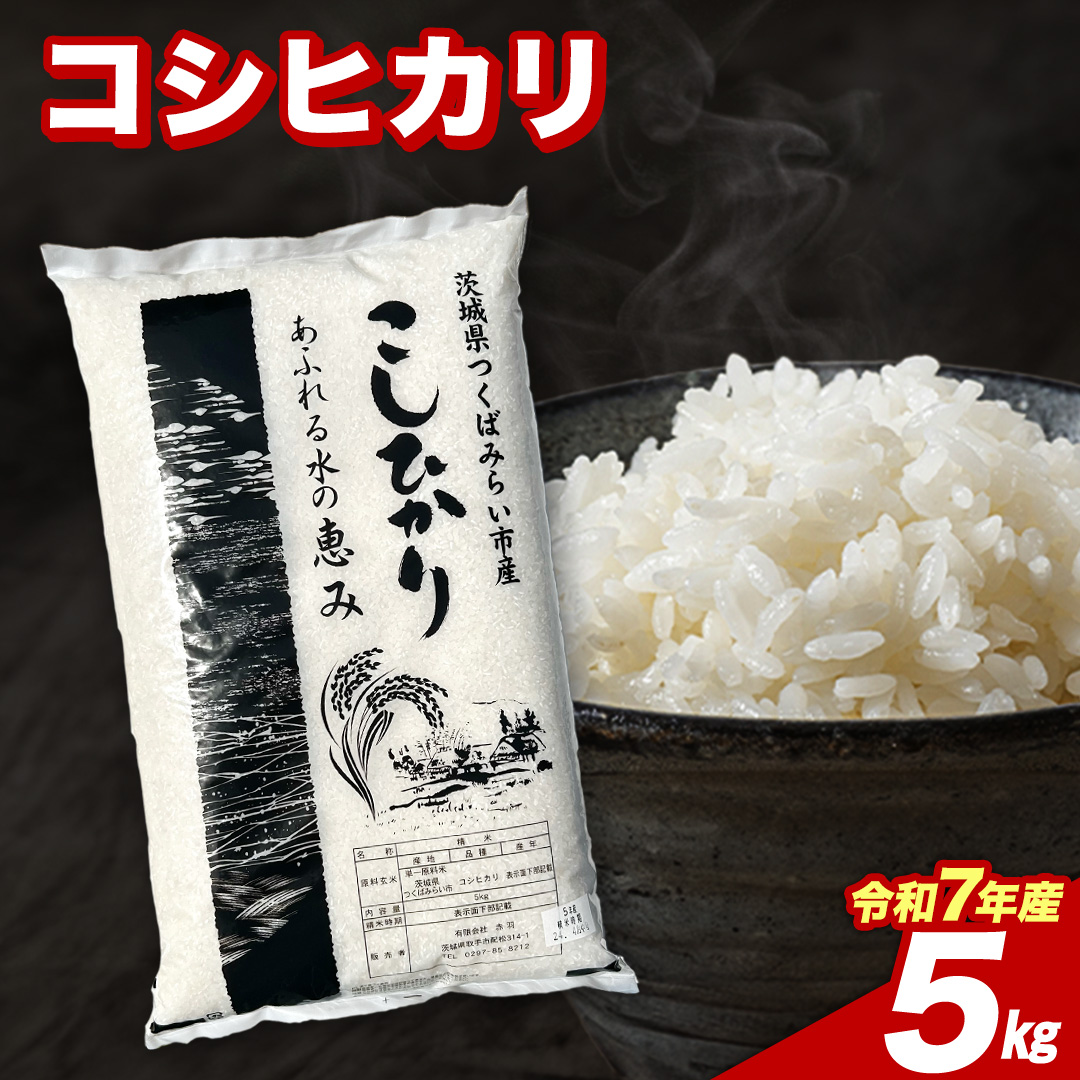 【3月下期出荷】 コシヒカリ 5kg 令和7年産精米 【 数量限定 