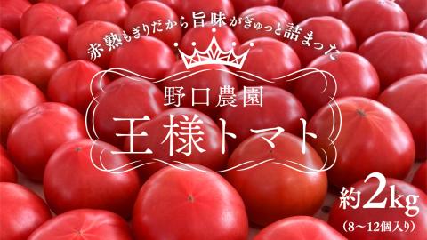 野口農園! 王様トマト 約2kg ( 8〜12個入り )! ごほうび・麗容・サンロード トマト ごほうび 麗容 サンロード 新鮮 美味しい 野菜