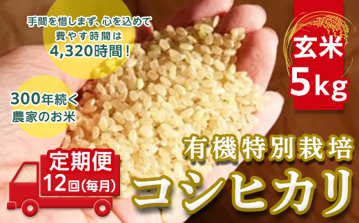 ＜令和２年産＞【定期便】☆【玄米】5kg×12回（毎月）☆三