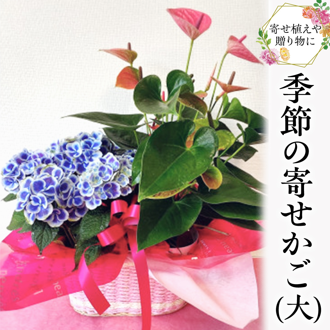 季節の寄せかご（大） 花 お花 フラワー 誕生日 プレゼント