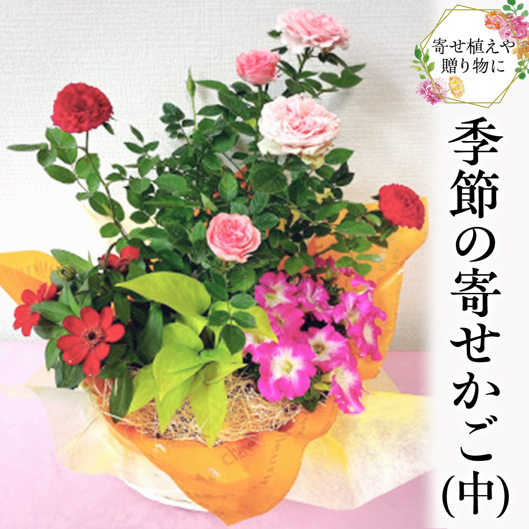 季節の寄せかご（中） 花 お花 フラワー 誕生日 プレゼント
