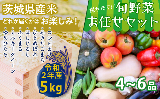 【数量限定】＜令和２年産米＞茨城県産米と旬野菜のセッ