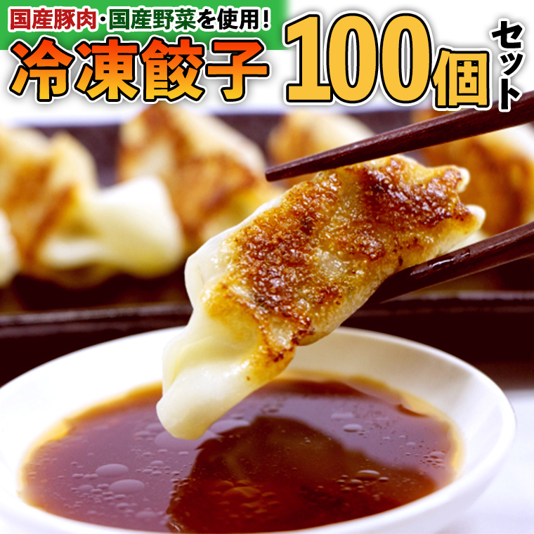 国産豚肉！国産野菜使用！冷凍餃子100個セット 冷凍食品 惣