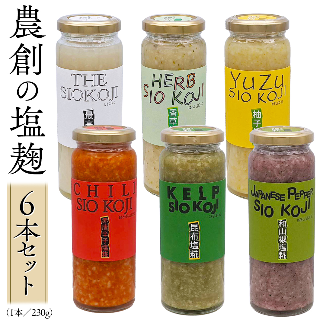 塩糀 6本セット 塩麹 塩こうじ 料理 発酵 調味料 農創  [AC01-N