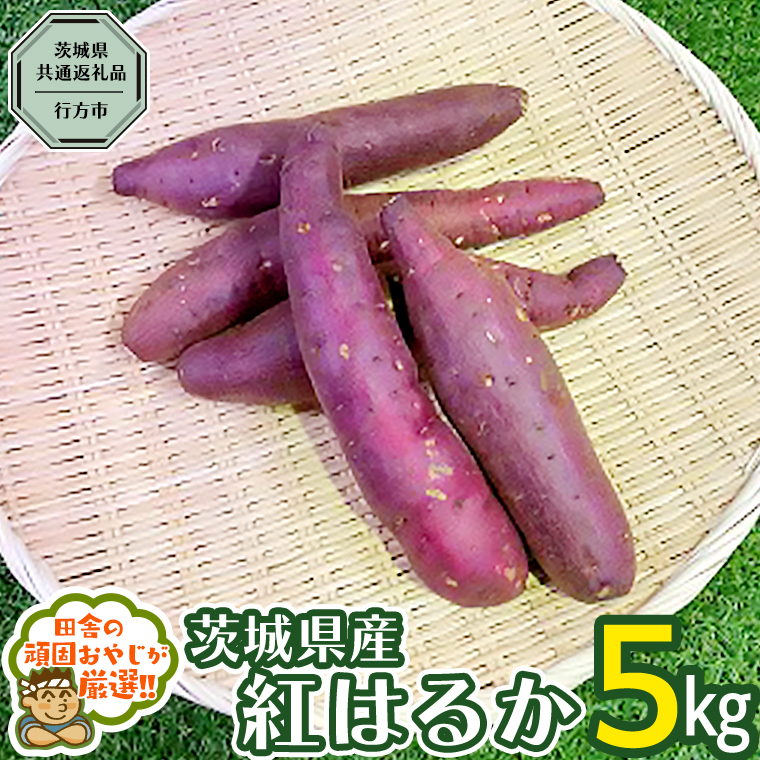 べにはるか 5kg 【2025年10月から発送開始】（茨城県共通返礼