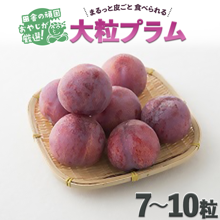 田舎の頑固おやじが厳選！大粒プラム7～10粒【令和3年7月よ