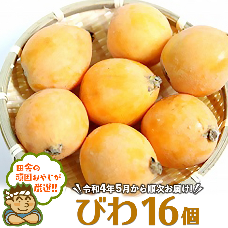 田舎の頑固おやじが厳選！びわ16個【令和4年5月から順次お