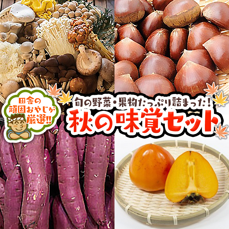 田舎の頑固おやじが厳選！秋の味覚（野菜・果物）厳選セ