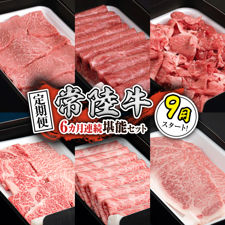 【定期便】【令和7年9月スタート】【全6回】『常陸牛』人