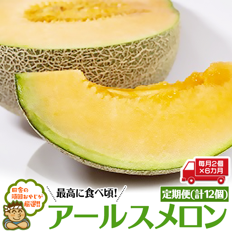 【定期便】 アールスメロン 毎月2個 × 6か月 （計12個） 田